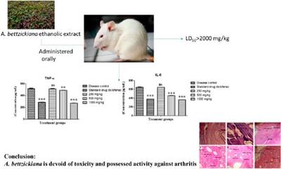 Frontiers | Anti-arthritic and toxicological evaluation of